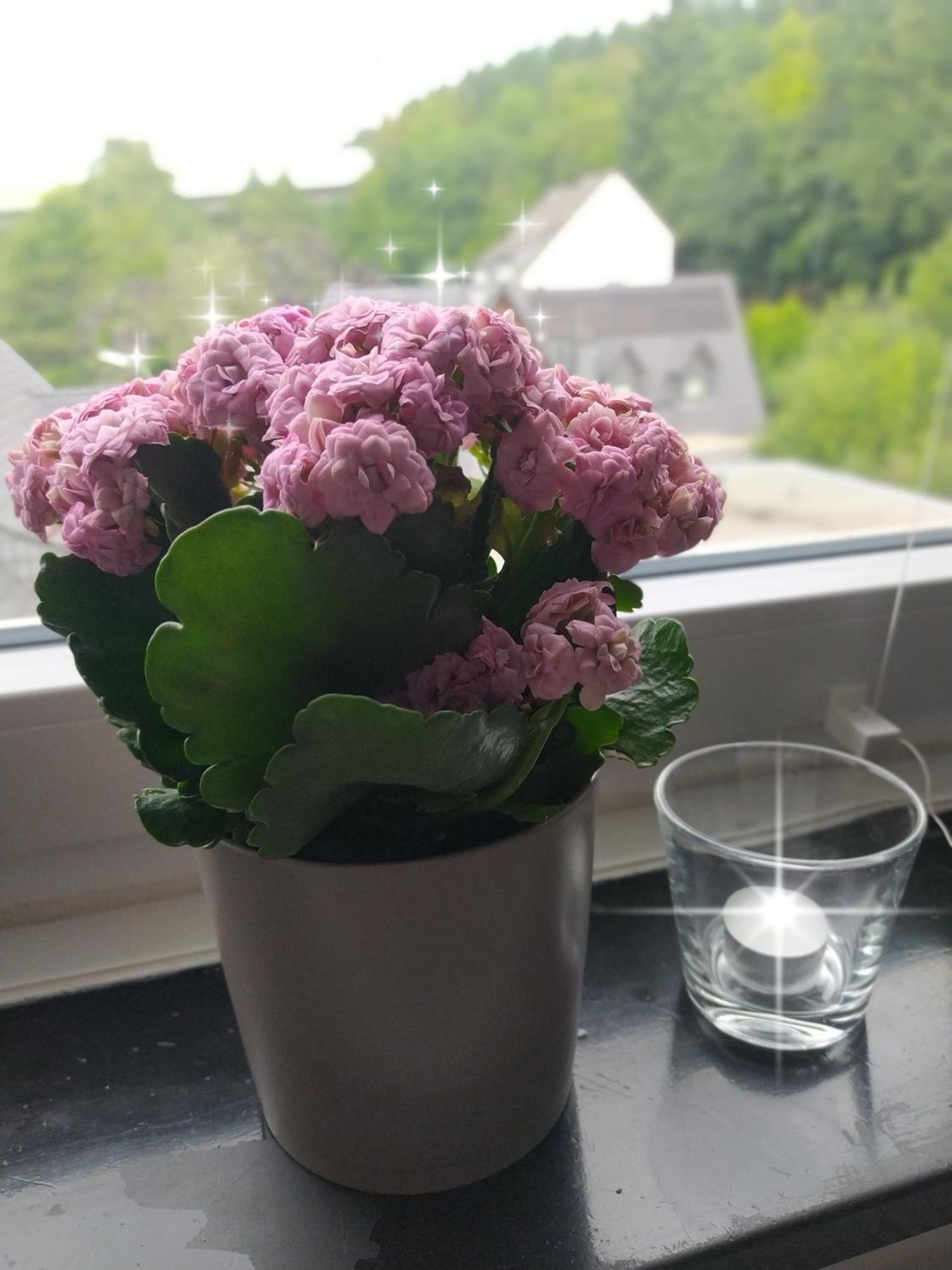 Ruhe Am Walde Apartman Meschede Kültér fotó
